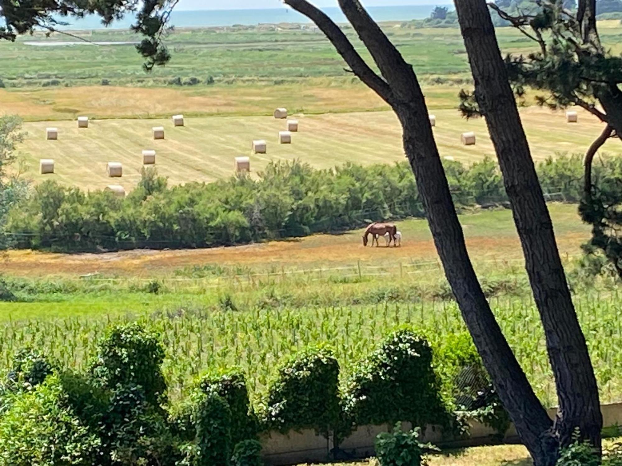 Villa Vieilles Vignes Vue Mer Billiers ภายนอก รูปภาพ