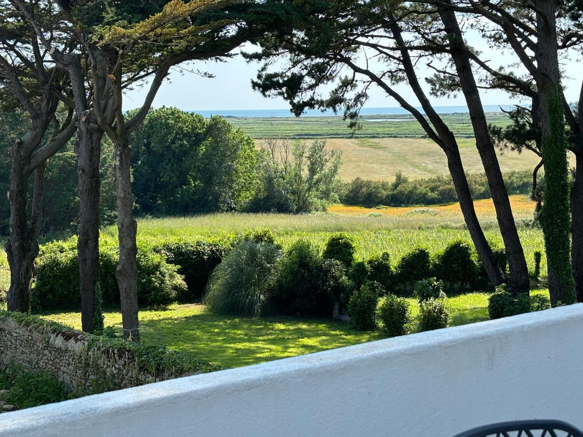 Villa Vieilles Vignes Vue Mer Billiers ภายนอก รูปภาพ